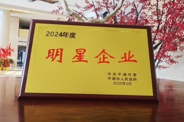 新春新景新气象 | 景兴纸业在平湖三干大会上喜摘荣誉！